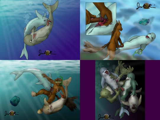 Thumbnail: Dolphin Compilation.jpg